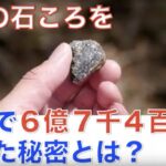 半年で 「6億7千4百万円」を売り上げた 石ころの秘密を プレゼントします。