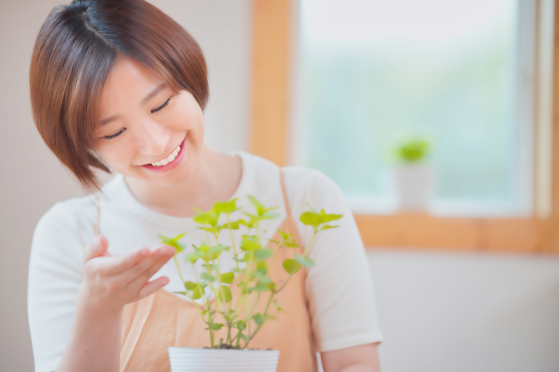 【メールで使える英語・スペイン語「mint(ミント)」】