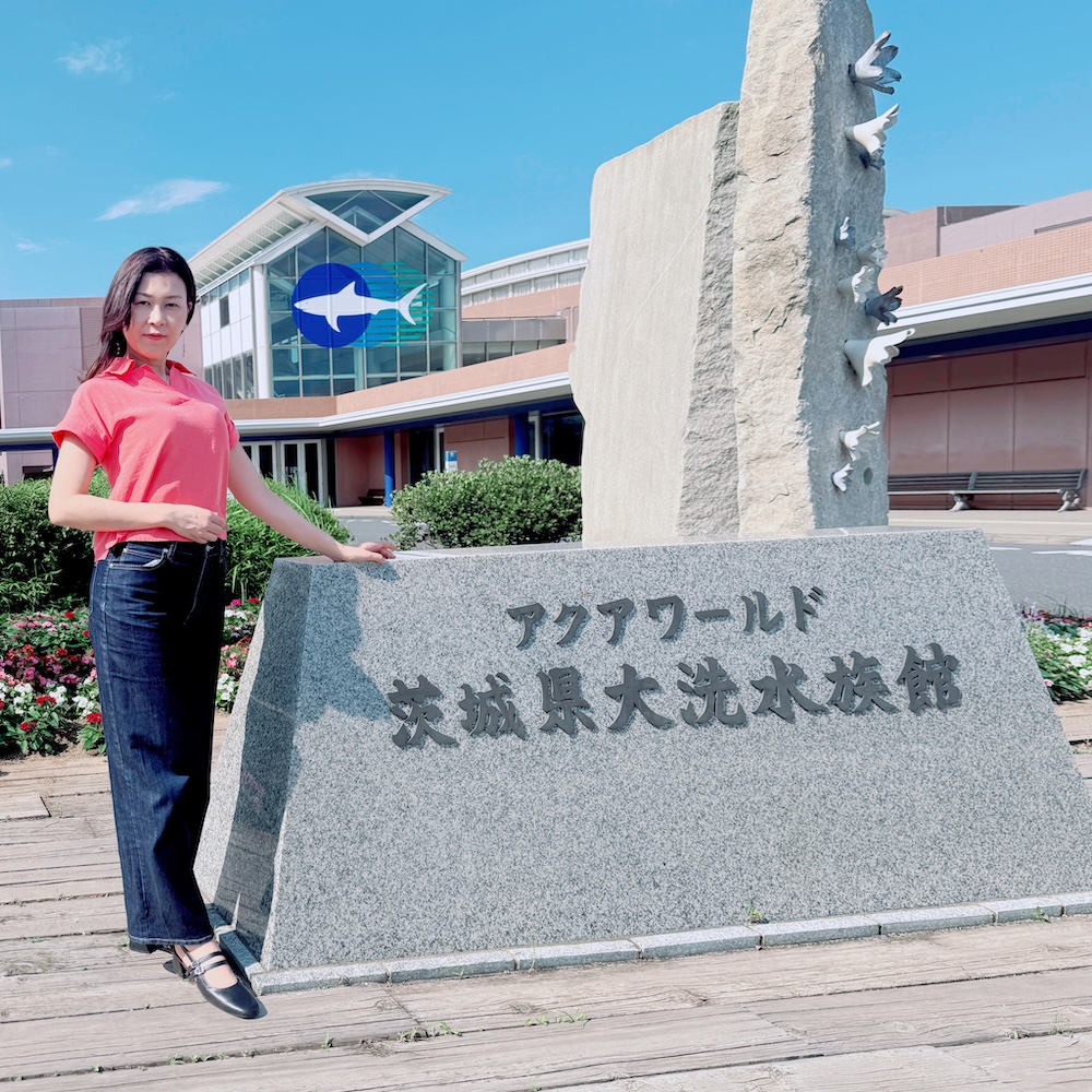 サメは人間を襲うのか?